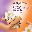 71wz+K87DiL._SX522_.webp