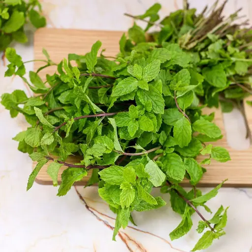 Mint Leaves (Fudina)