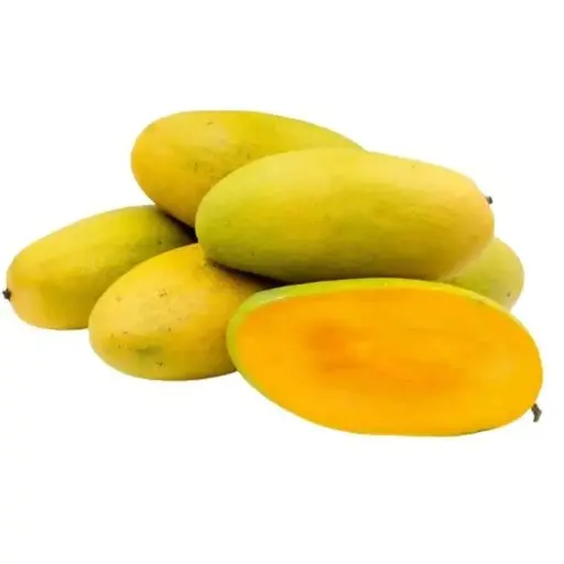 Mango (Aam) - Dasheri