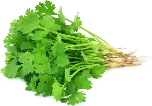 Fresh Coriander Leaves ( Dhaniya Patta)
